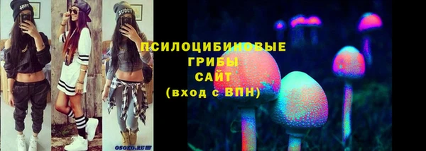прущий лед Балахна