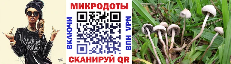 Галлюциногенные грибы мухоморы сколько стоит Шилка