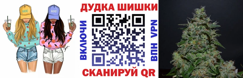 Шишки марихуана конопля  как найти наркотики  Шилка 